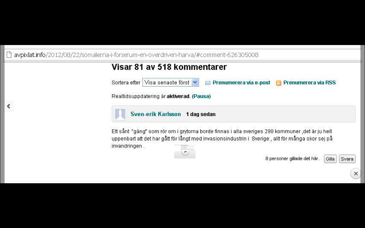 Sverigedemokraterna, Somalier, Rasism, Sven-Erik Karlsson